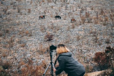 Rear view of woman photographing on rock