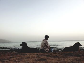 Man with dogs sitting at beach against clear sky during sunset