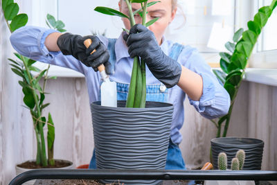 Gardener woman transplants indoor plants and use a shovel on table. zamioculcas concept of plants 