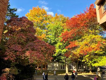 People walking on street during autumn