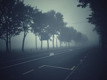 Road passing through forest