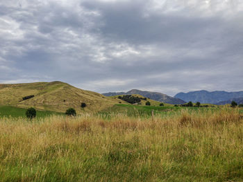 Scenic view of field against sky