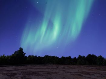 Scenic view of trees against sky at night