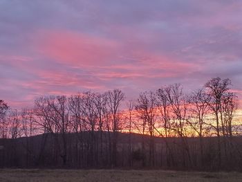 Silhouette bare trees on field against sky during sunset