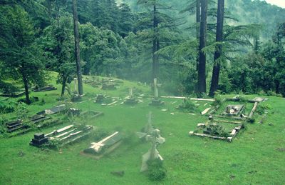 High angle view of cemetery on land