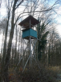 Low angle view of birdhouse on trees in forest