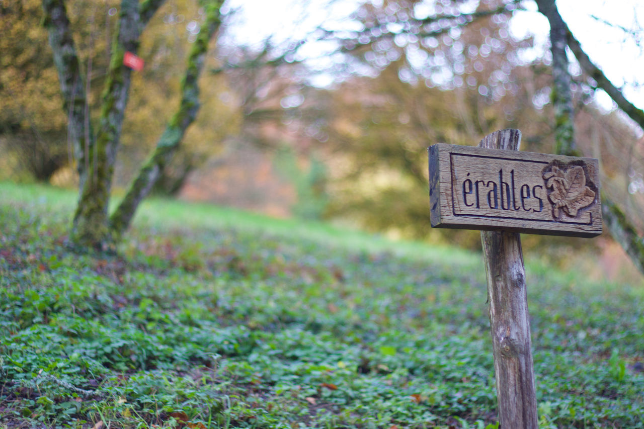 INFORMATION SIGN ON TREE