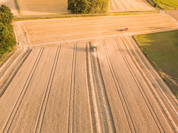 High angle view of agricultural field