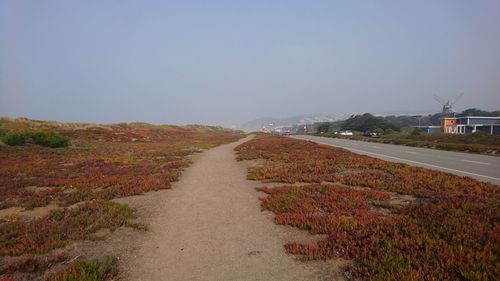 Road amidst field against clear sky