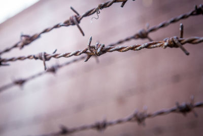 Close-up of rusty barbed wire fence