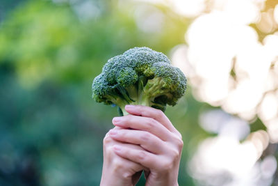 Cropped hand of woman holding broccoli outdoors