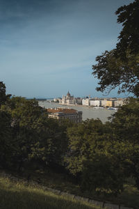 Buildings and trees in city against sky