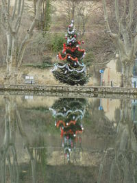 Christmas tree in water