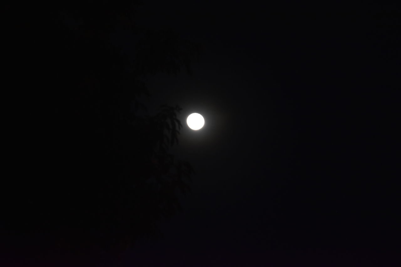 night, moon, copy space, sky, full moon, dark, space, no people, moonlight, darkness, celestial event, beauty in nature, astronomy, nature, low angle view, silhouette, illuminated, tranquility, scenics - nature, outdoors, black and white, lunar eclipse