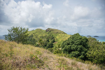 Scenic view of landscape by sea against sky