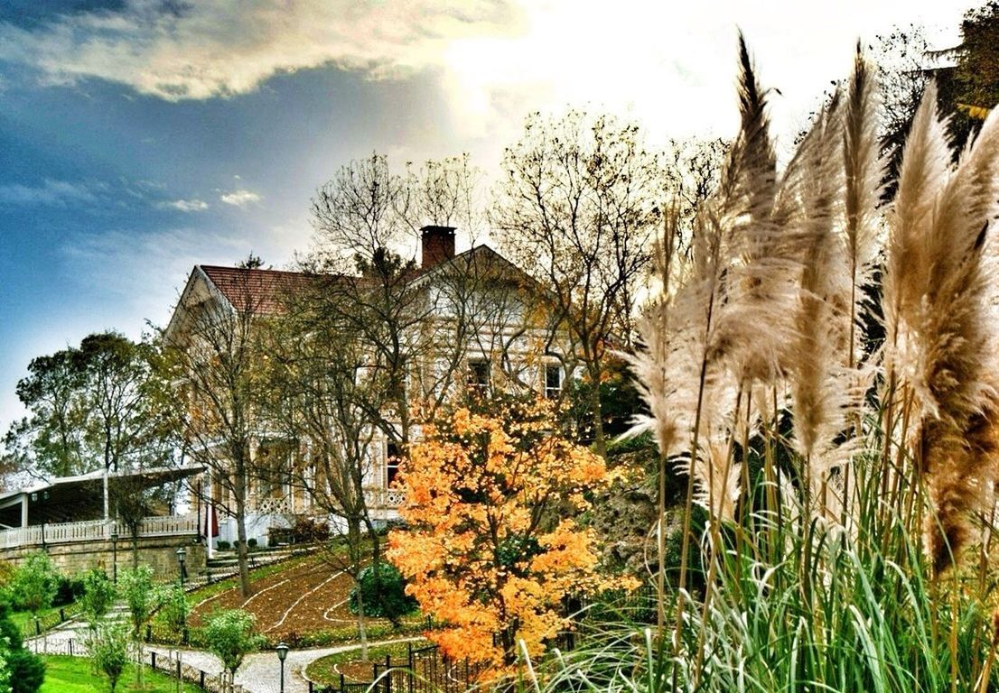 architecture, building exterior, built structure, tree, sky, growth, low angle view, plant, house, cloud - sky, nature, day, sunlight, grass, no people, outdoors, bare tree, building, field, residential building