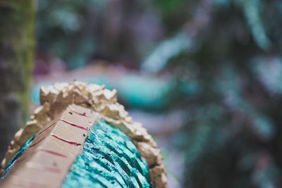 Close-up of multi colored umbrella