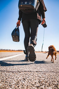 Low section of person walking on zebra crossing