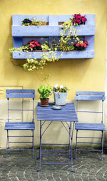 Potted plants on table against wall