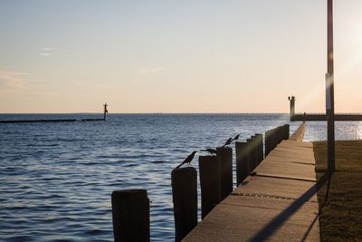 Wooden posts in sea against sky during sunset