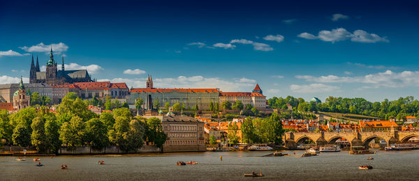 View of trees by river against buildings