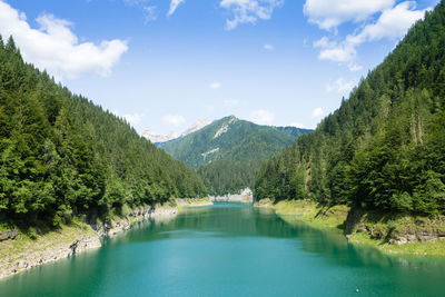 Scenic view of lake by trees against sky