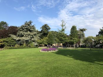 Trees in park against sky