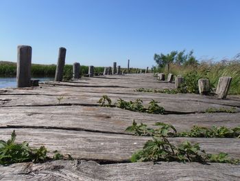 Wooden boardwalk against clear blue sky