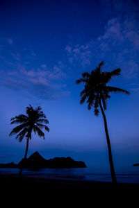 Silhouette palm tree by sea against sky at sunset