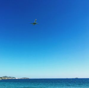 Low angle view of bird flying over sea against clear sky