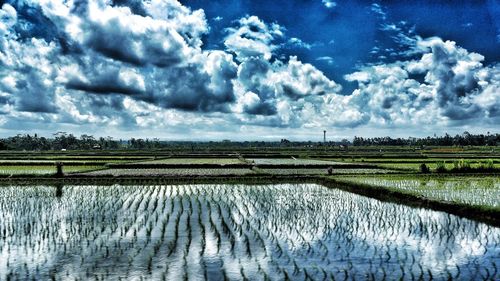 Scenic view of field against cloudy sky