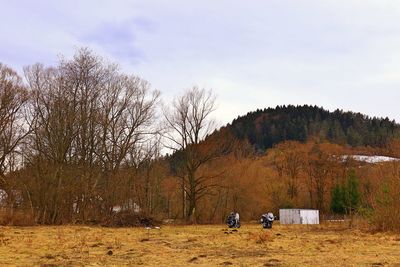 Bare trees on field against sky