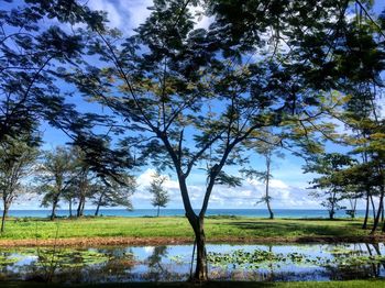 Scenic view of lake and trees against sky