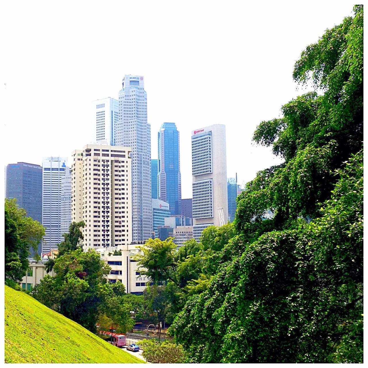 building exterior, architecture, city, skyscraper, built structure, office building, tree, tall - high, modern, clear sky, cityscape, tower, growth, sky, building, urban skyline, financial district, tall, city life, day