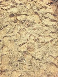 High angle view of footprints on sand