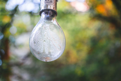 Close-up of light bulb against blurred background