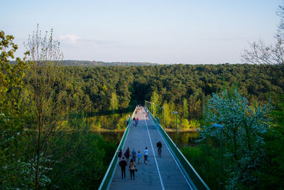 People walking on footbridge against trees
