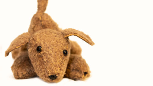 Close-up of stuffed toy against white background