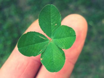 Close-up of finger holding four leaf clover outdoors