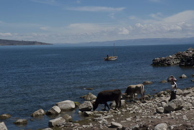 Scenic view of sea and rocks