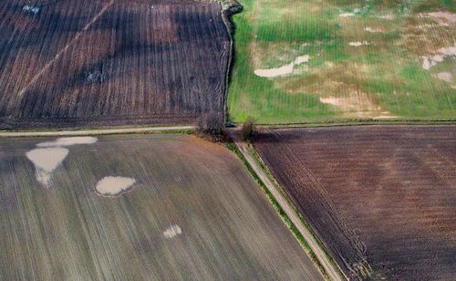 Scenic view of agricultural landscape