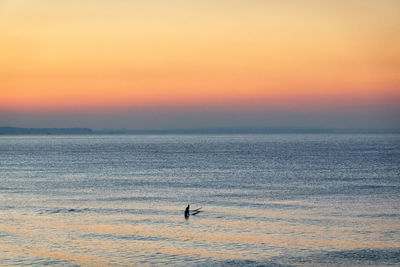 View of birds flying over sea