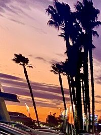 Low angle view of silhouette palm trees against sky at sunset