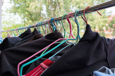 Close-up of clothes hanging on tree