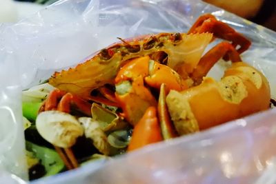 Close-up of served food in plate