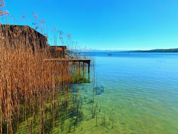 Scenic view of lake against clear blue sky