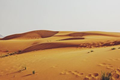 Scenic view of desert against clear sky