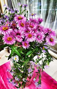 High angle view of pink flowering plant