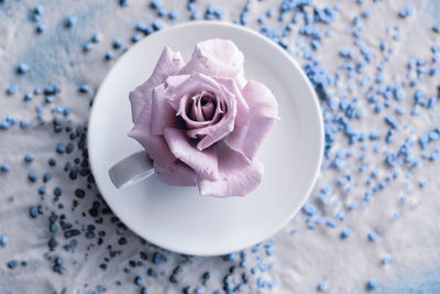 Directly above shot of purple flower in glass on table