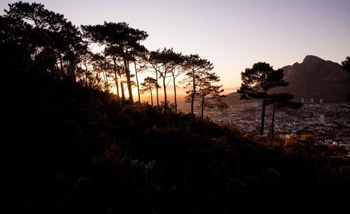 Silhouette trees on landscape against sky during sunset